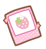 display